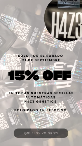 PROMO X 16 EFECTIVO